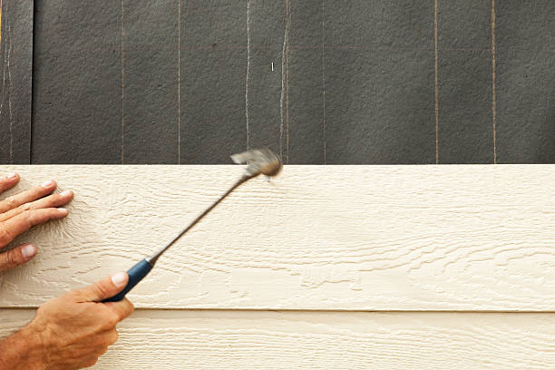 Best Siding Painting and Refinishing  in Mill Bay, AK